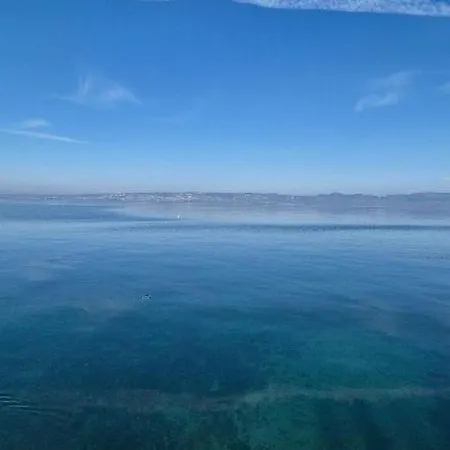 Les Rives Du Leman
